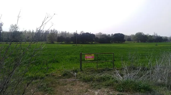 Parcela de Regadío en Ciudad Rodrigo - foto 2
