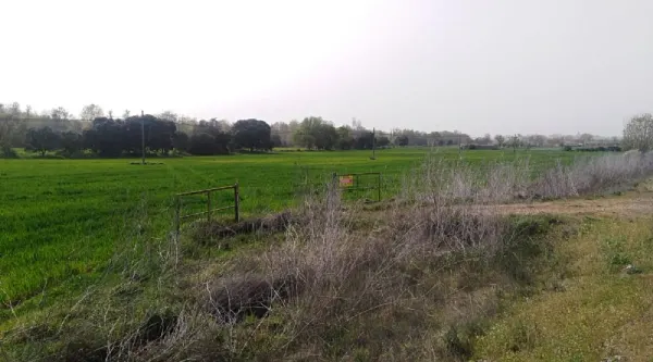 Parcela de Regadío en Ciudad Rodrigo - foto 3