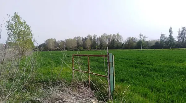 Parcela de Regadío en Ciudad Rodrigo - foto 4