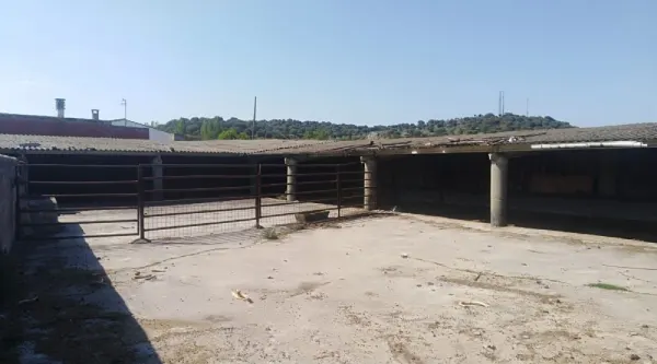 Parcela con Casa y Corrales en Ciudad Rodrigo - foto 12