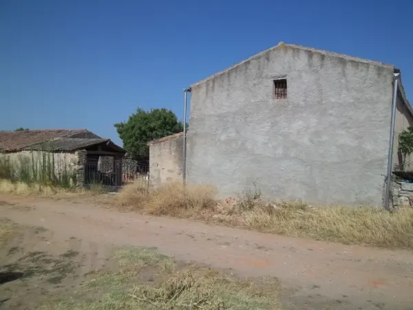 Finca Rustica Secano con Vivienda y Dependencias - foto 6
