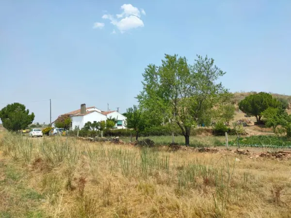 Parcela con Casa ,Nave, Huerto en Ciudad Rodrigo - foto 5
