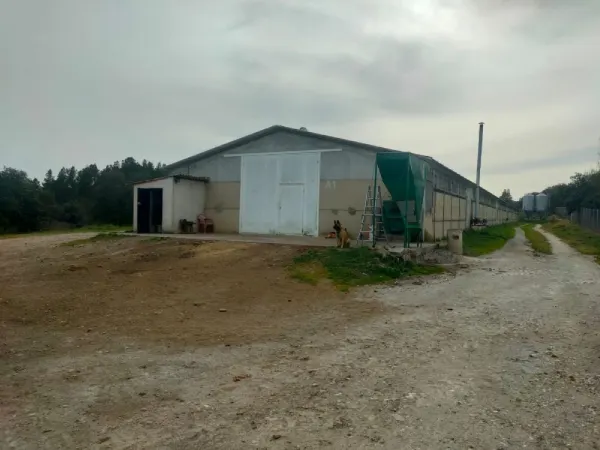 Granja de Pollos en Espeja (Salamanca) - foto 15