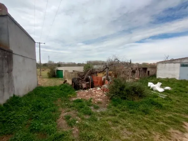 Parcela con Casa, Nave y Corrales en Ciudad - foto 4