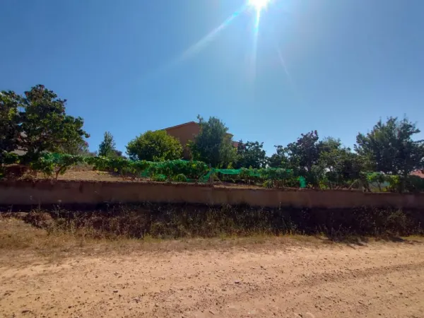 Huerta con Casa y Almacén en Ciudad Rodrigo - foto 18