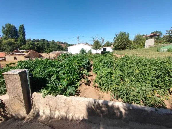 Huerta con Casa y Almacén en Ciudad Rodrigo - foto 23