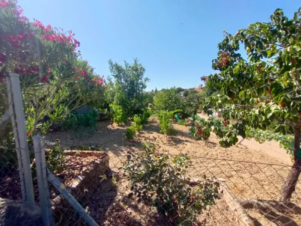 Huerta con Casa y Almacén en Ciudad Rodrigo - foto 24