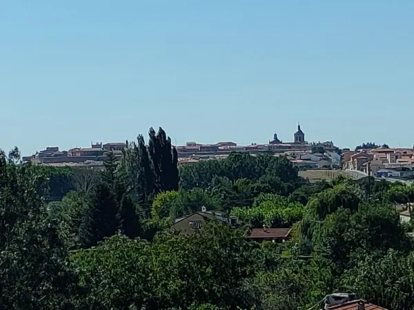 Huerta con Casa y Almacén en Ciudad Rodrigo - foto 31