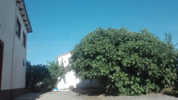 Chalet en Ciudad Rodrigo en Zona - foto 3