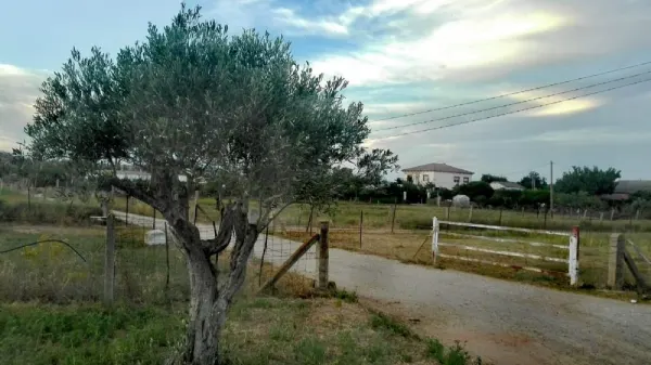 Chalet en Ciudad Rodrigo en Zona - foto 4