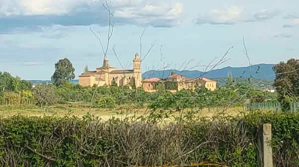 Parcela-Huerta de Regadio Muy Cerca de Ciudad Rodrigo - foto 6