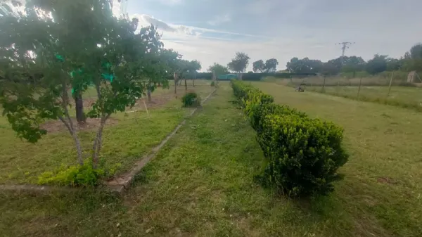 Parcela-Huerta de Regadio Muy Cerca de Ciudad Rodrigo - foto 7