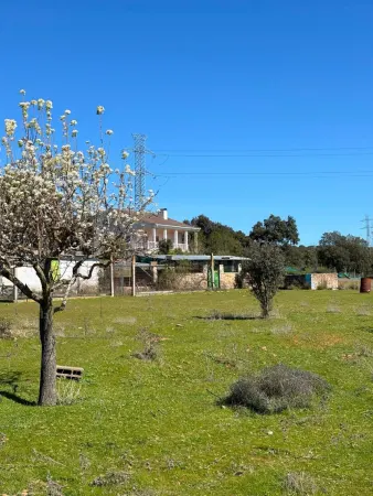 Chalet con Piscina en Ivanrey, Ciudad Rdorigo - foto 5