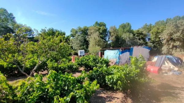 Huerta con Casa en Ciudad Rodrigo - foto 2