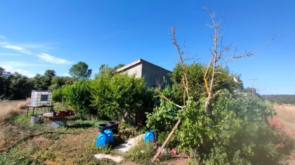 Huerta con Casa en Ciudad Rodrigo - foto 4