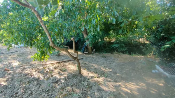 Huerta con Casa en Ciudad Rodrigo - foto 5