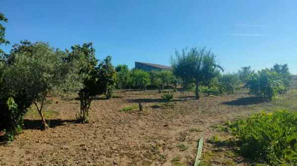 Huerta con Casa en Ciudad Rodrigo - foto 6