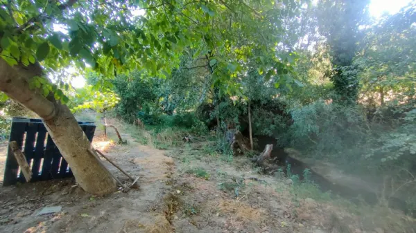 Huerta con Casa en Ciudad Rodrigo - foto 10