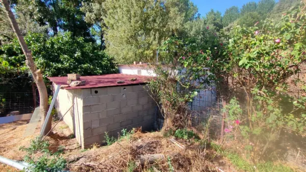 Huerta con Casa en Ciudad Rodrigo - foto 15