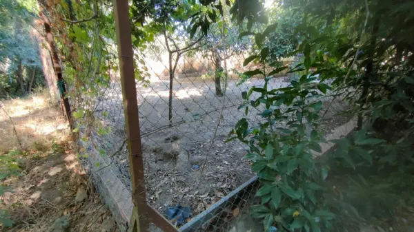 Huerta con Casa en Ciudad Rodrigo - foto 17