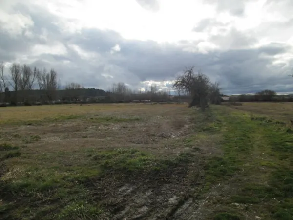 Parcela de Regadio con Vivienda y Anejos - foto 5